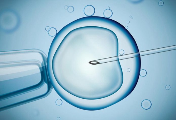 胚胎移植时期_同性恋可以去美国做第三方辅助生子吗